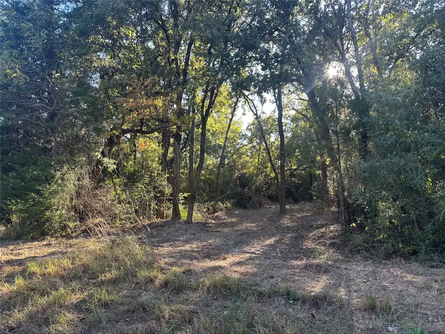 TR 3 Cr219, Buffalo, TX 75831 - Image #3