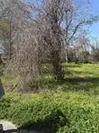 1043 Lincoln Street, Beaumont, TX 77701 - #3