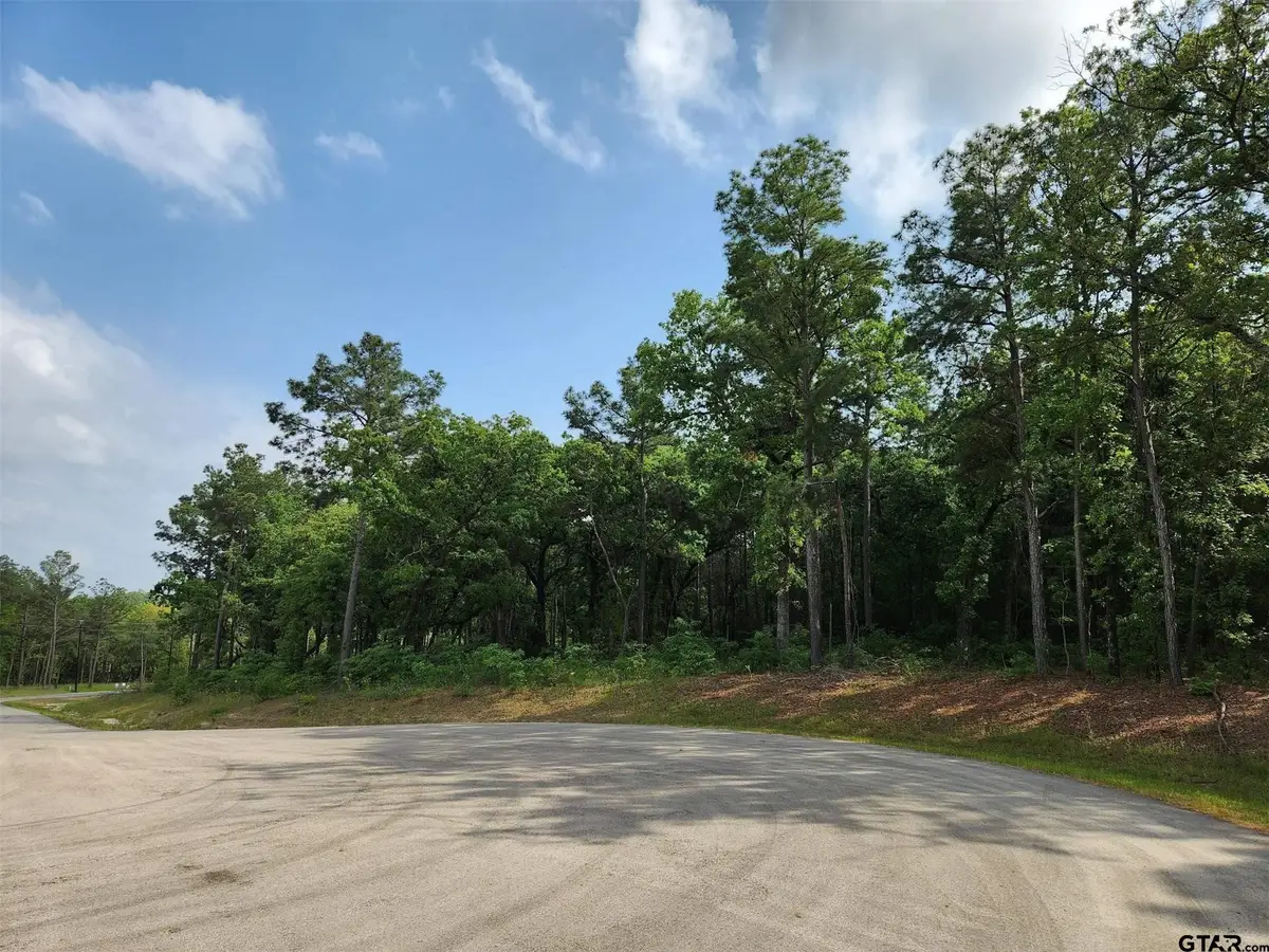 3281 Shadow Pine Dr Lot, Larue, TX 75770 - #1