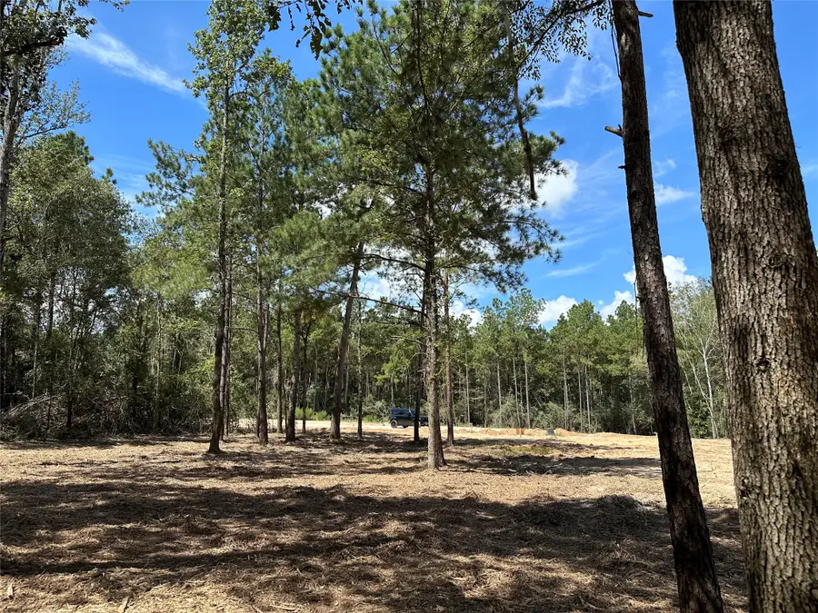 4609 High Meadow West Court, Montgomery, TX 77316 - #2