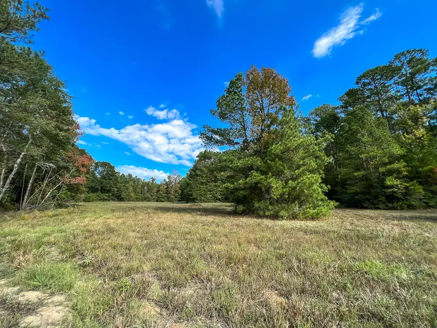 1 I-45 Frontage Road, Huntsville, TX 77320 - #2
