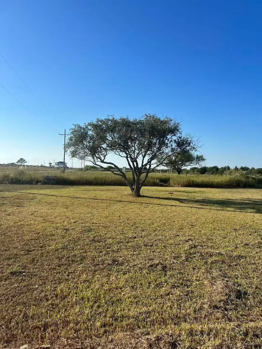 708 Bayou Avenue, Anahuac, TX 77514 - #3