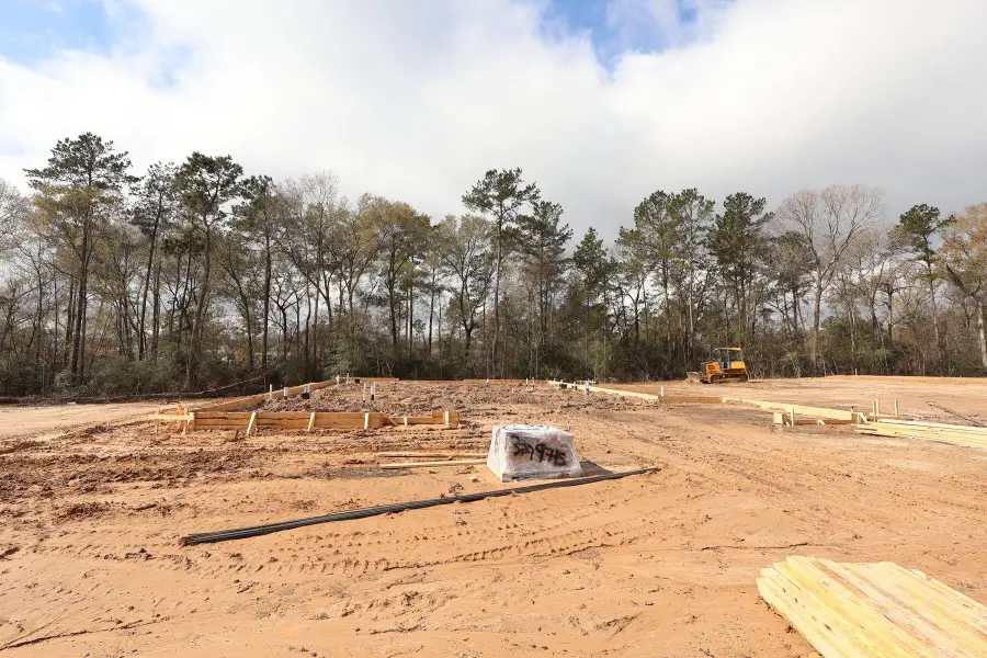 109 Roebuck Lane, New Waverly, TX 77358 - Image #2