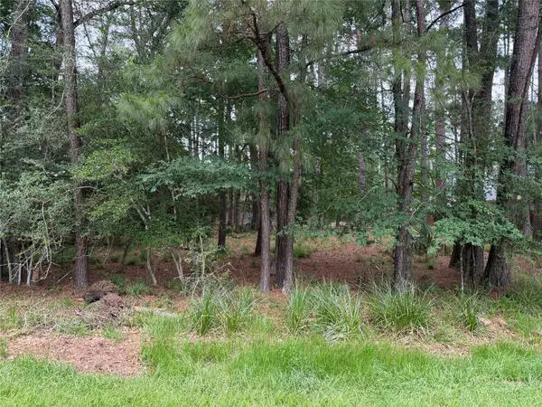 6 Stony Creek Drive, Conroe, TX 77384