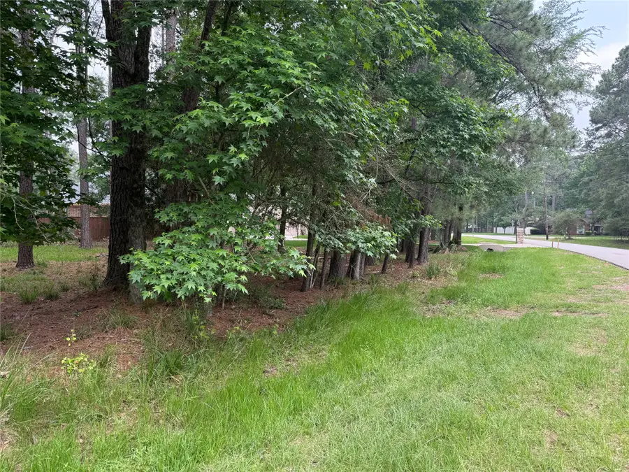 6 Stony Creek Drive, Conroe, TX 77384 - #3