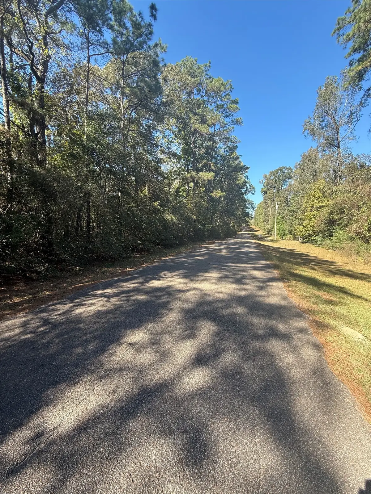 TBD2 Lake Shore Drive, Conroe, TX 77303 - #1