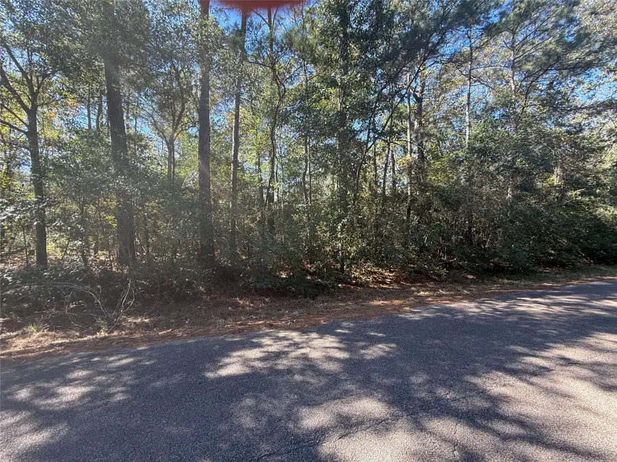 TBD2 Lake Shore Drive, Conroe, TX 77303 - #2