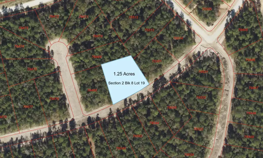 168 Rock Ranch Drive, New Waverly, TX 77358 - Image #2