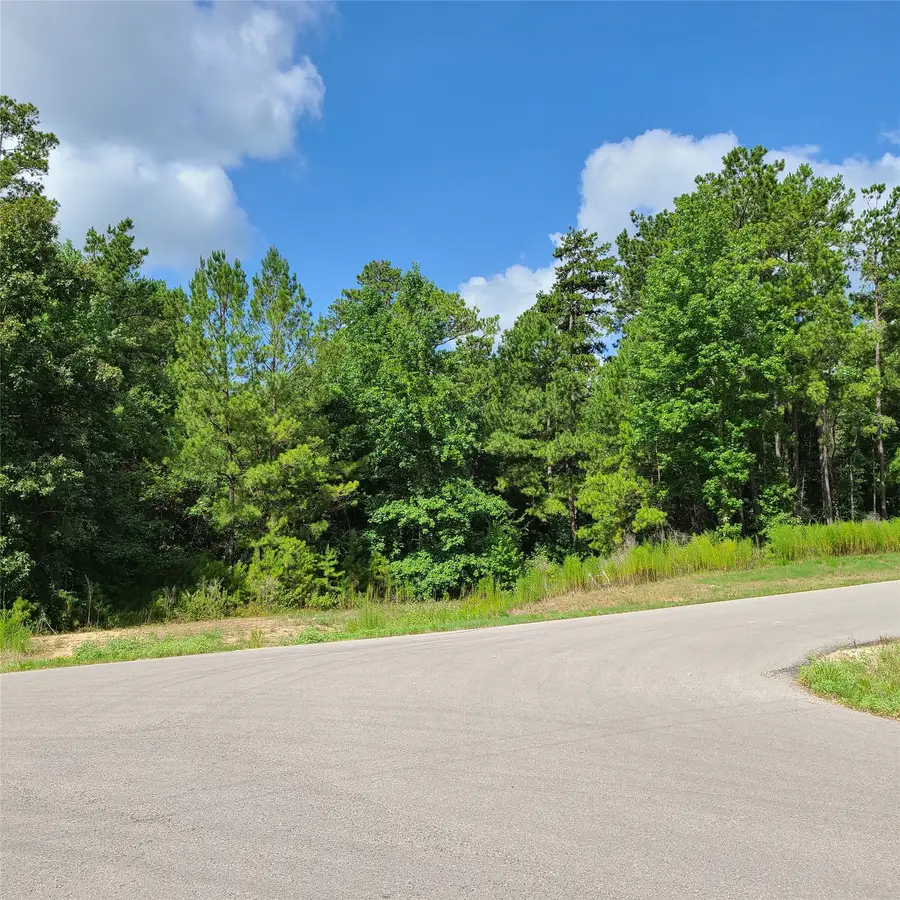 69 Tranquil Lane, Huntsville, TX 77340 - #2