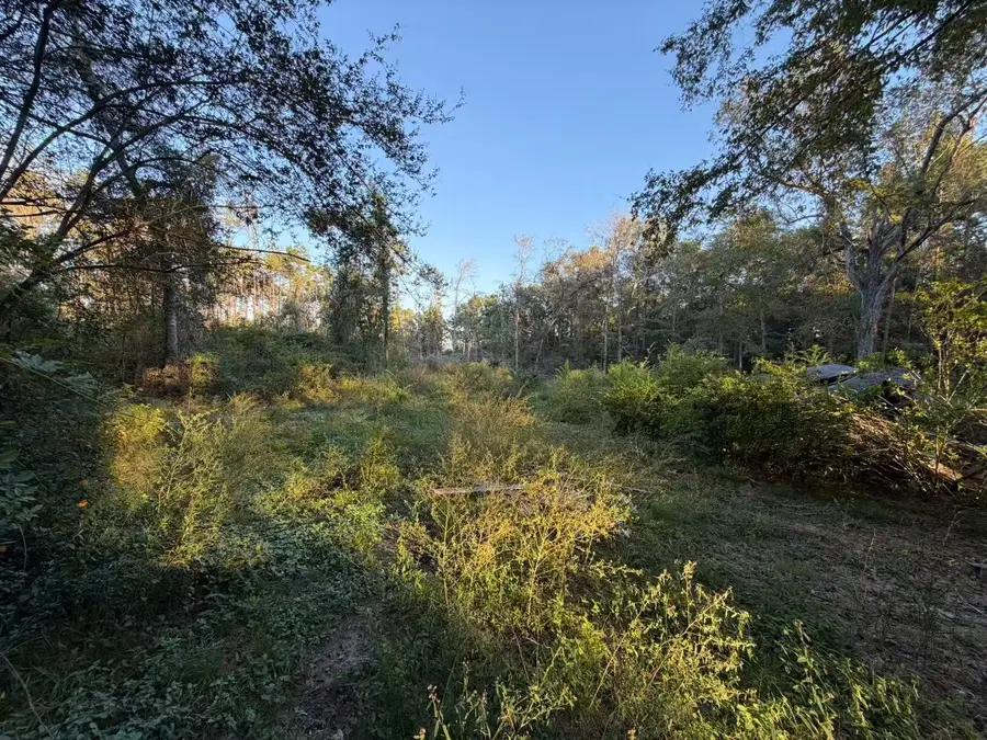 2765 Miller Road, Cleveland, TX 77328 - #3