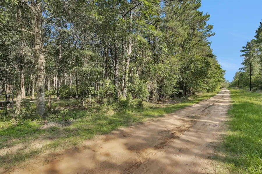 6493 Planters Row Lane, Plantersville, TX 77363 - #3