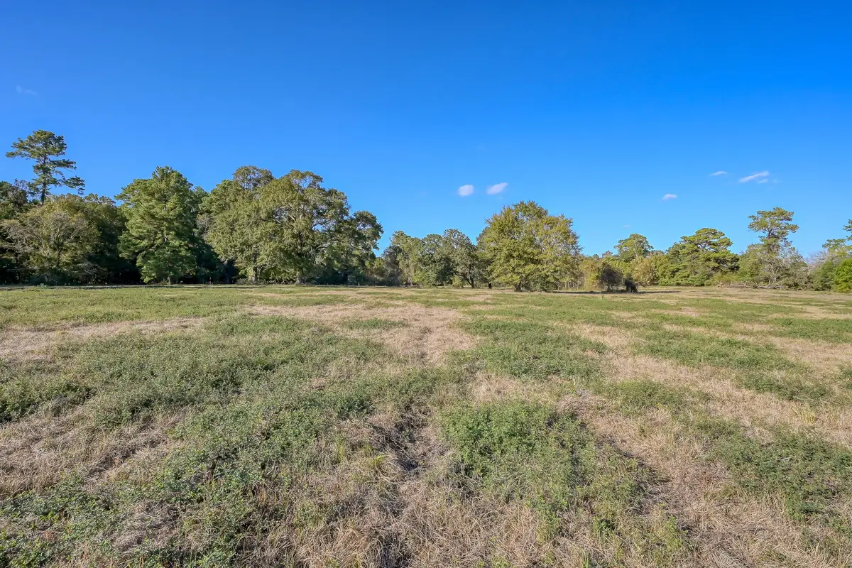 100 ACRES Spring Branch Road, Montgomery, TX 77316 - #1