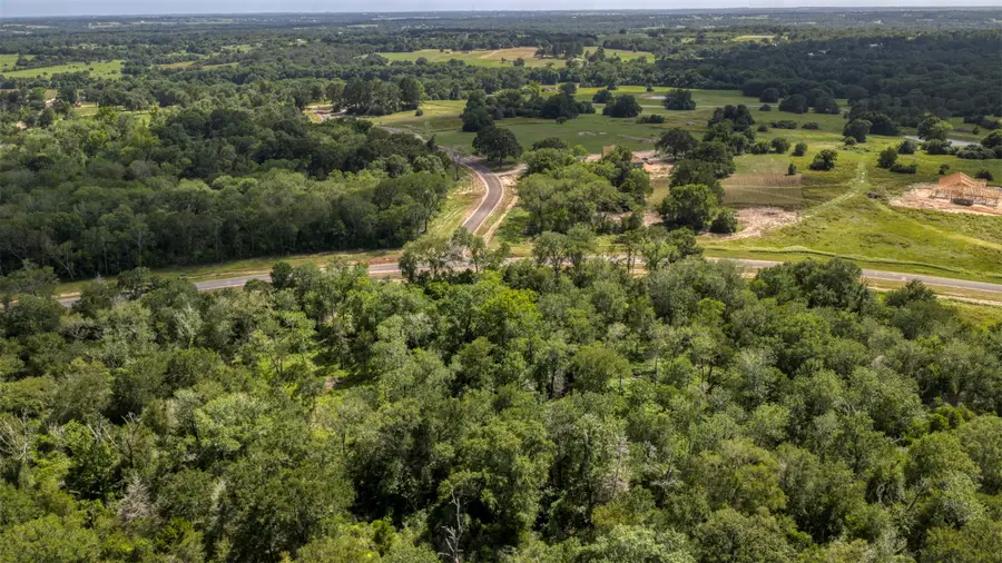 2-19 Prairie Blossom Way, Brenham, TX 77833 - #2