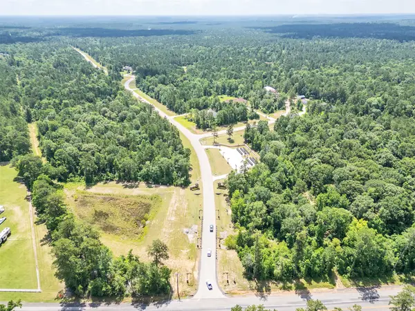 10768 Ruger Road, Willis, TX 77378