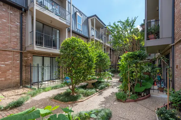 2400 N Braeswood Boulevard #220, Houston, TX 77030