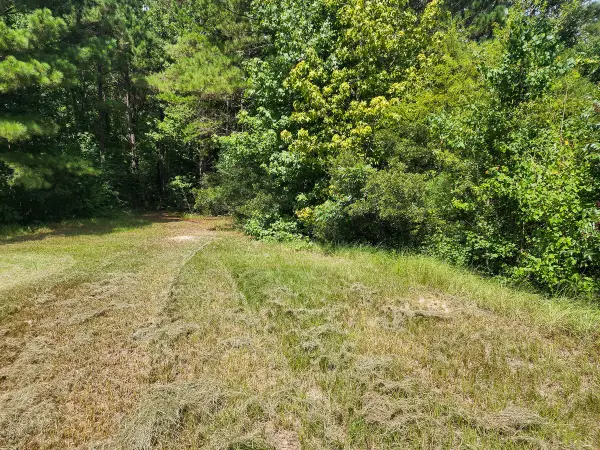 216 Private Road 6046, Burkeville, TX 75932