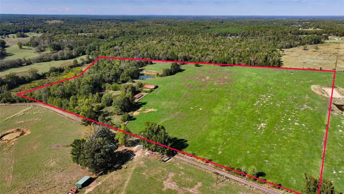 10736 Muskrat Road, Gilmer, TX 75644 - #1