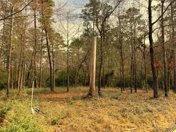 195 Walnut Circle, Trinity, TX 75862