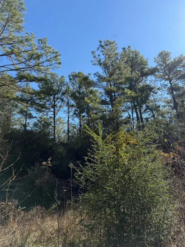 0000 Baltic Drive, Humble, TX 77346