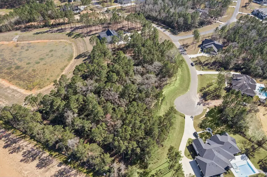 7526 High Meadow Ridge Drive, Montgomery, TX 77316 - #2