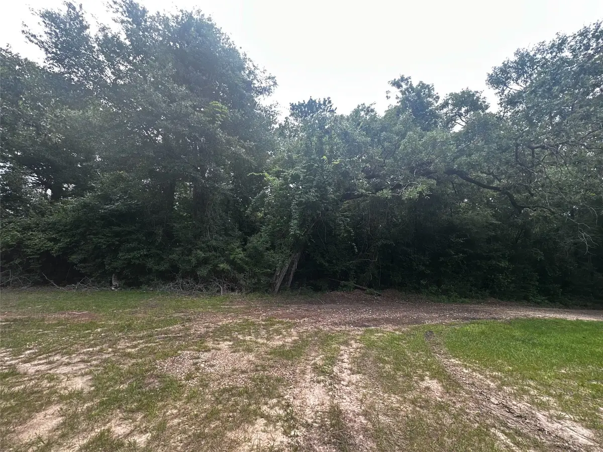 TBD Old Israel Road, Livingston, TX 77351 - #1