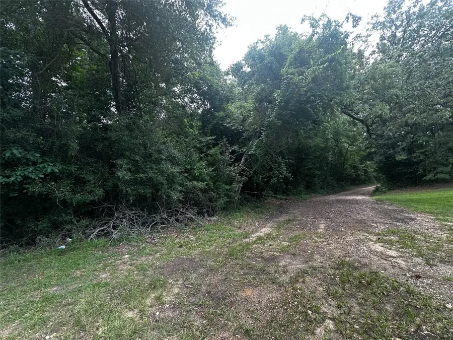 TBD Old Israel Road, Livingston, TX 77351 - #2