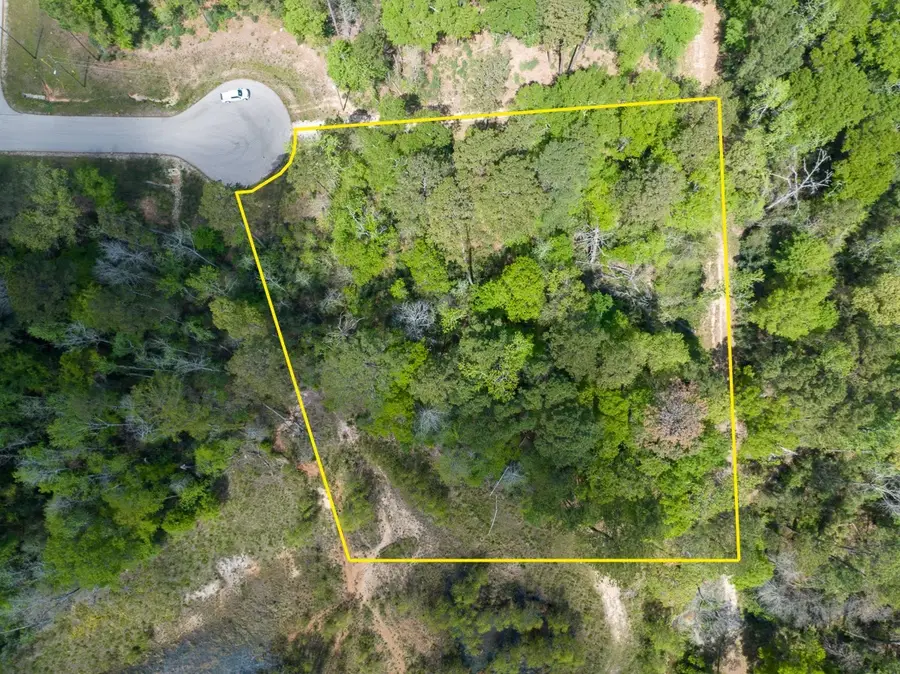 1 Sandstone Lane, Huntsville, TX 77340 - #2