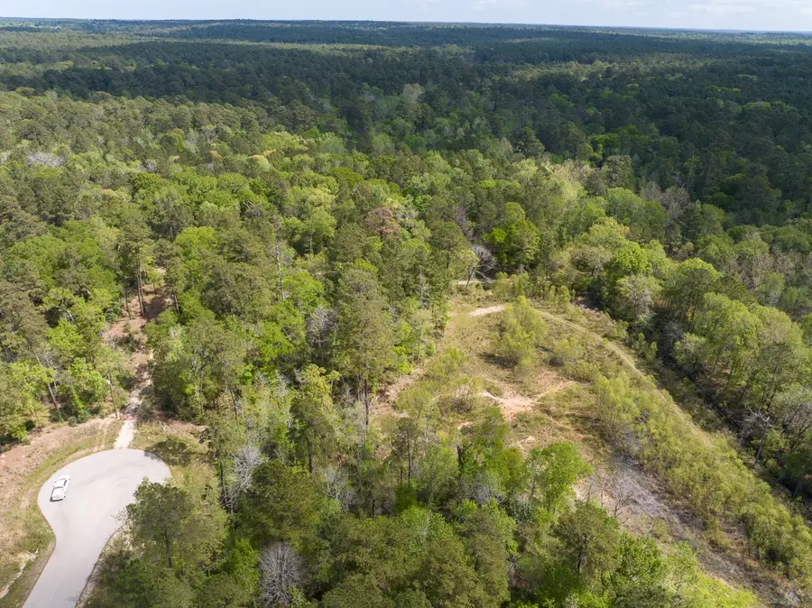 1 Sandstone Lane, Huntsville, TX 77340 - #3