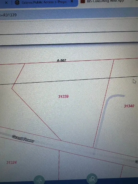 16375 Grand Flower Road, Plantersville, TX 77363 - #3