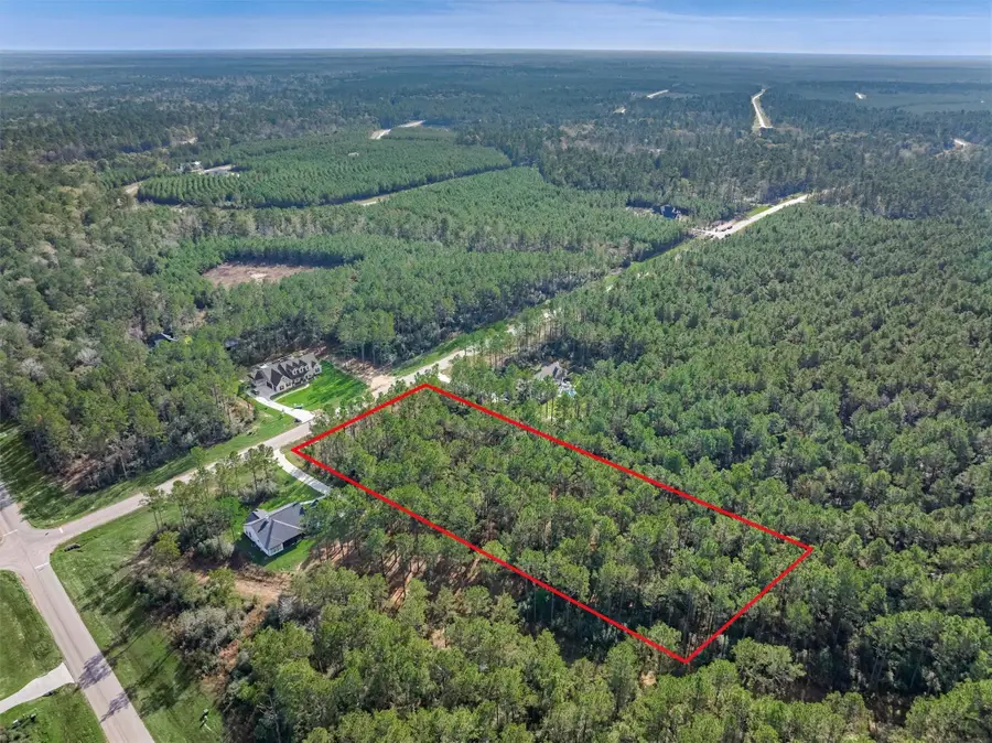 15929 Wood Grove Way, Willis, TX 77378 - #3