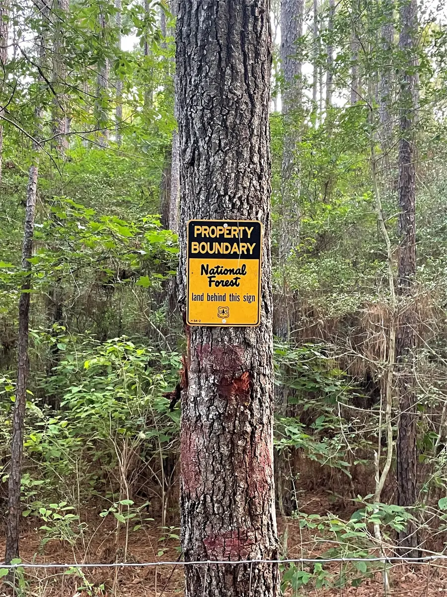 19280 Mount Pleasant Road, Montgomery, TX 77356 - #3