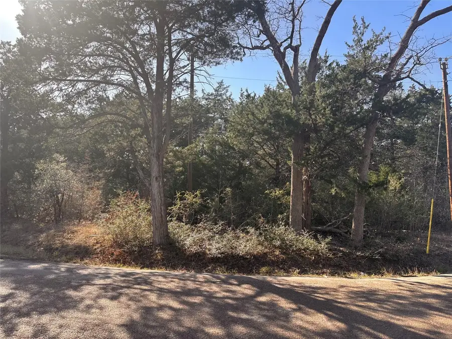 145 County Road 411, Somerville, TX 77879 - Image #3
