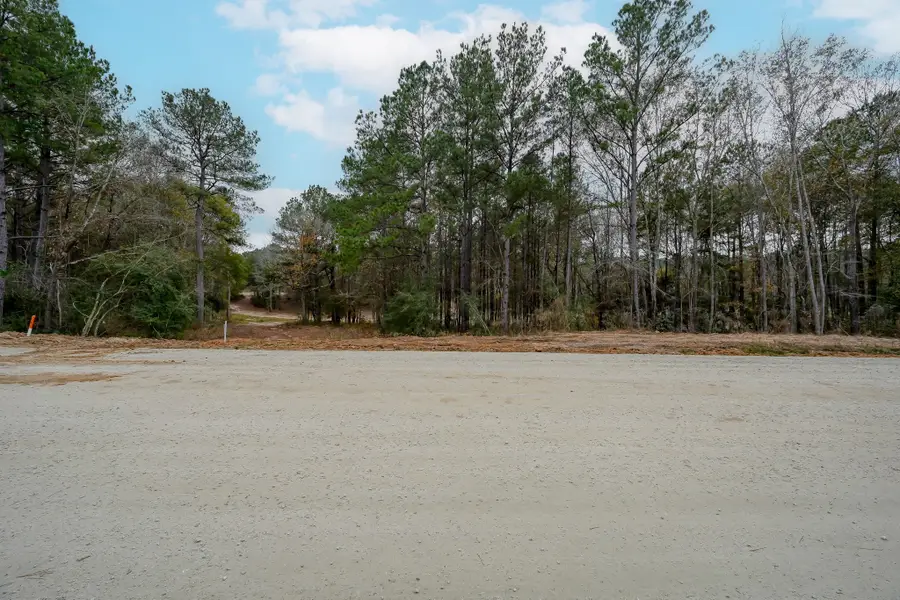 132 Heartland Road, New Waverly, TX 77358 - #3