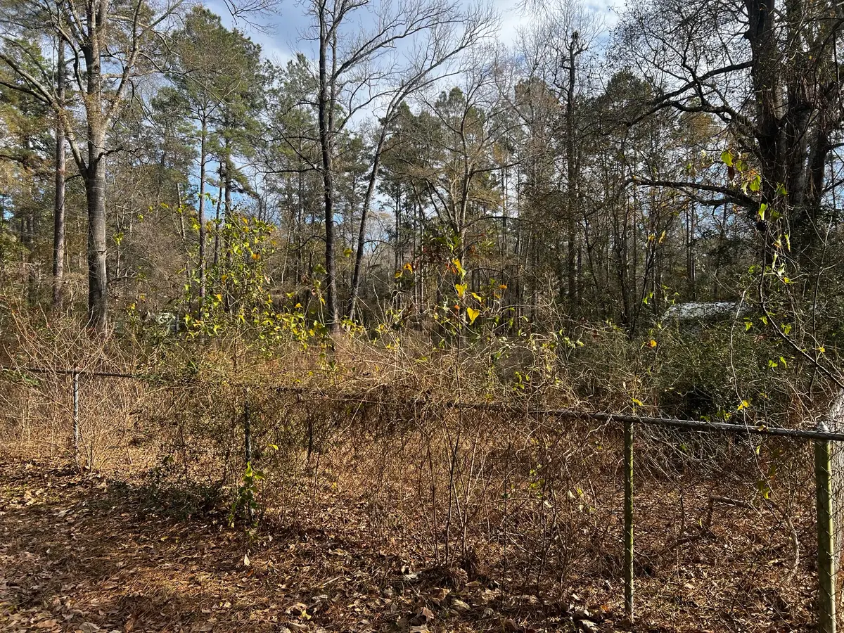 18444 Solomon Street, Cleveland, TX 77328 - #1