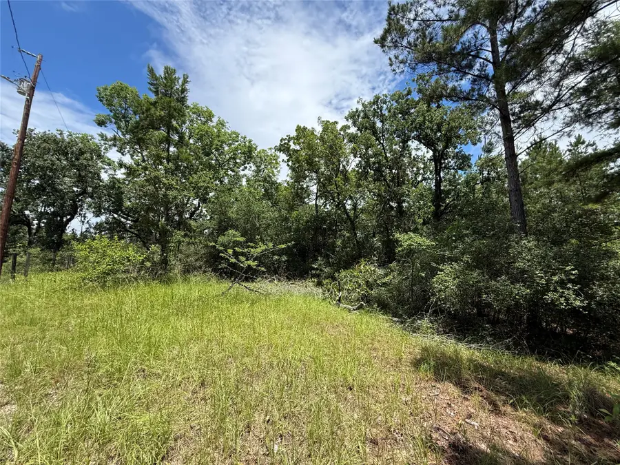 TBD Arrow Head Lot 268 Lane, Huntsville, TX 77320 - #3
