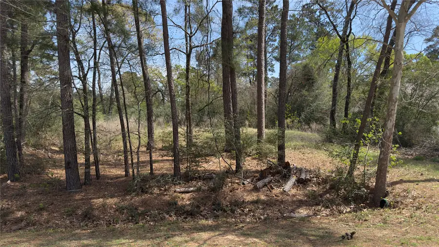 31910 Oaks Crossing, Magnolia, TX 77355 - #2