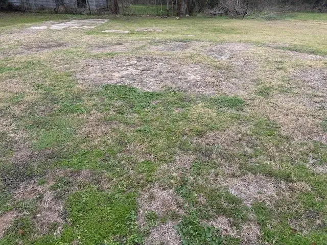 412 Williams Street, Sealy, TX 77474 - Image #3