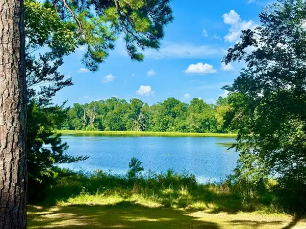 TBD Lakeland Ranch Lot 392,393, Hillister, TX 77624