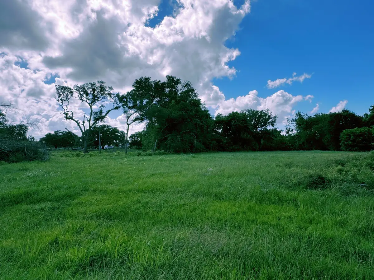1044 Winchester Trail, Angleton, TX 77515 - #1
