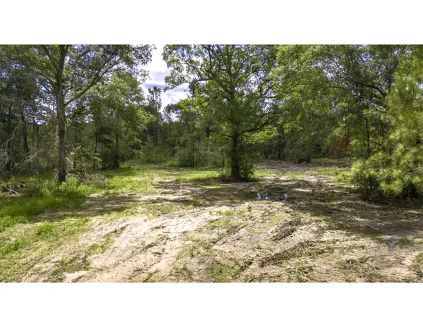 TBD Lot 002 Holland Road, Moscow, TX 75960