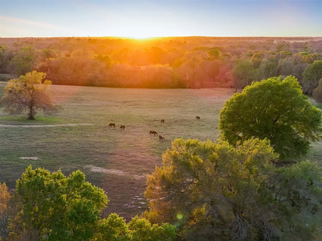 1580 County Road 377, Caldwell, TX 77836 - #1