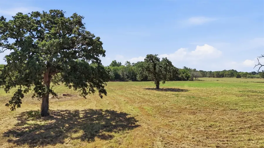 10.51 Acres Farm To Market 979 Road, Franklin, TX 77856 - #3