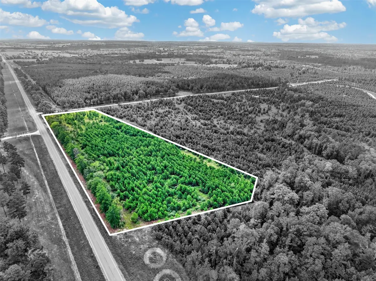 Lot #1 Fm 1280 / Trinity Trail, Lovelady, TX 75851 - #1