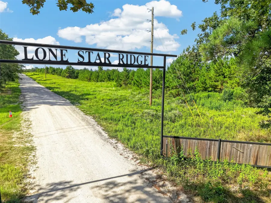 Lot #1 Fm 1280 / Trinity Trail, Lovelady, TX 75851 - #2