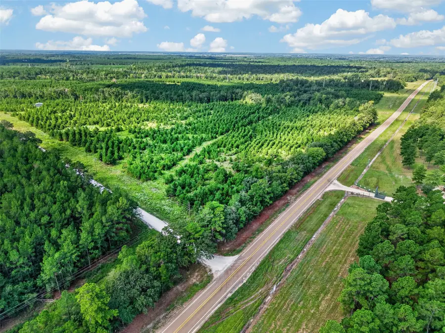 Lot #1 Fm 1280 / Trinity Trail, Lovelady, TX 75851 - #3