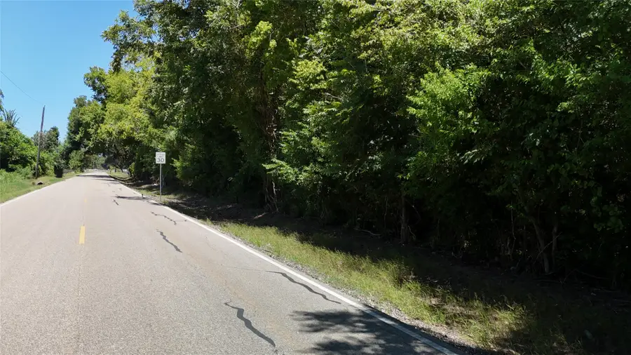 TBD County Road 42 Lots 2a5-2a6, Rosharon, TX 77583 - #3