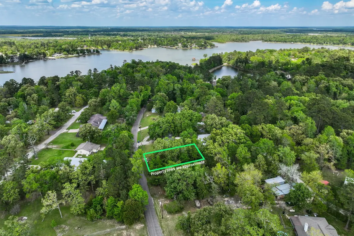 164 Lakeland Rd, Huntsville, TX 77340 - #1