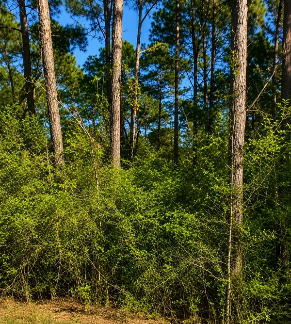 0 Curry Street, Livingston, TX 77351