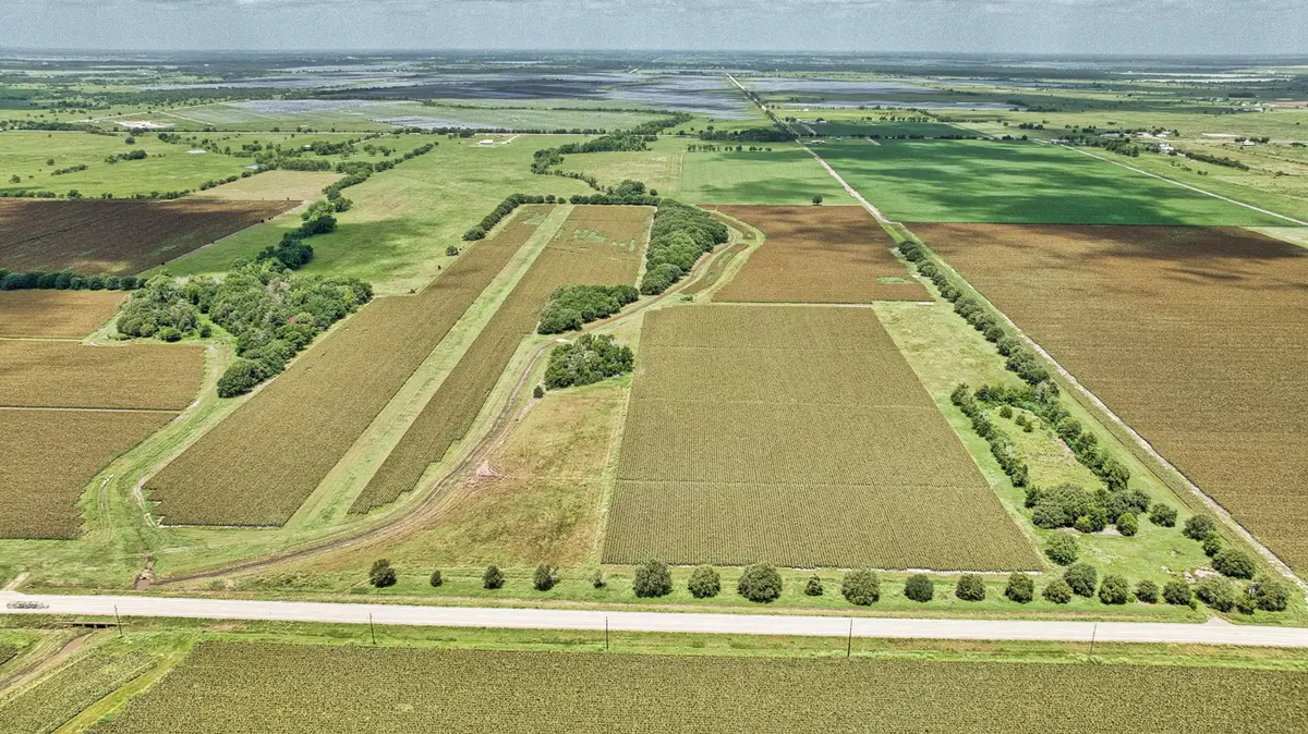 0000 Fm 1462 Road, Damon, TX 77430 - #1