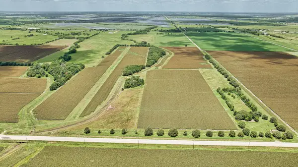 0000 Fm 1462 Road, Damon, TX 77430